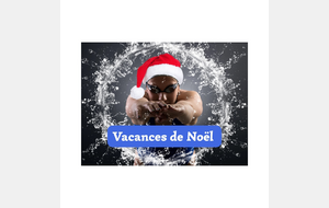 Vacances de Noël